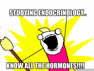 Studying endocrinology.. Know all the hormones!!!! - Studying endocrinology.. Know all the hormones!!!!  All The Things