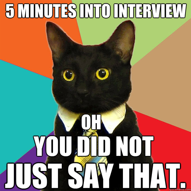 5 Minutes Into Interview OH YOU DID NOT JUST SAY THAT.  Business Cat