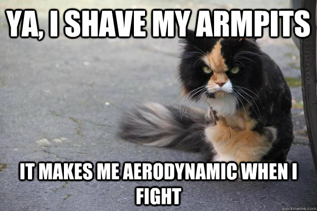 ya, I shave my armpits it makes me aerodynamic when I fight - ya, I shave my armpits it makes me aerodynamic when I fight  Angry Cat