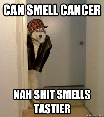 CAN SMELL CANCER NAH SHIT SMELLS TASTIER  Scumbag dog