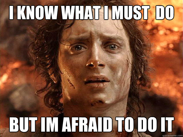 i know what i must  do but im afraid to do it  frodo