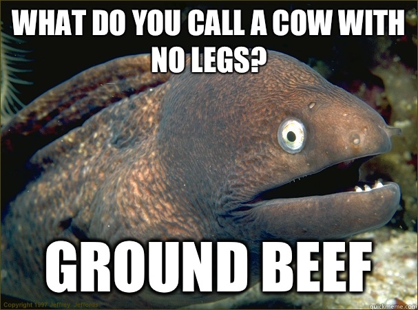 what do you call a cow with no legs? Ground beef - what do you call a cow with no legs? Ground beef  Bad Joke Eel