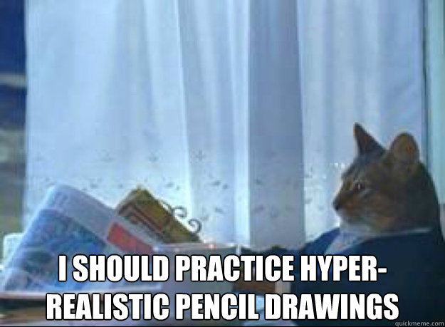 i should practice hyper-realistic pencil drawings   I should buy a boat cat