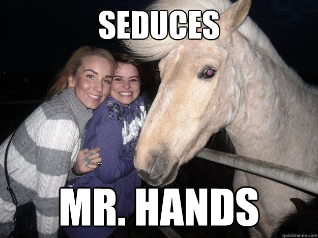 seduces Mr. Hands - Ridiculously Photogenic Horse - quickmeme.