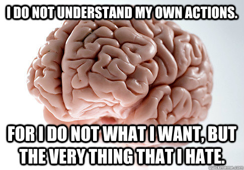 I do not understand my own actions.  For I do not what I want, but the very thing that I hate.  Scumbag Brain