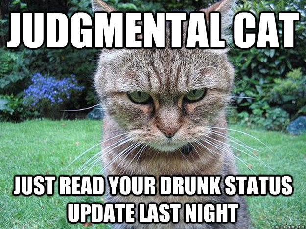 judgmental Cat just read your drunk status update last night  