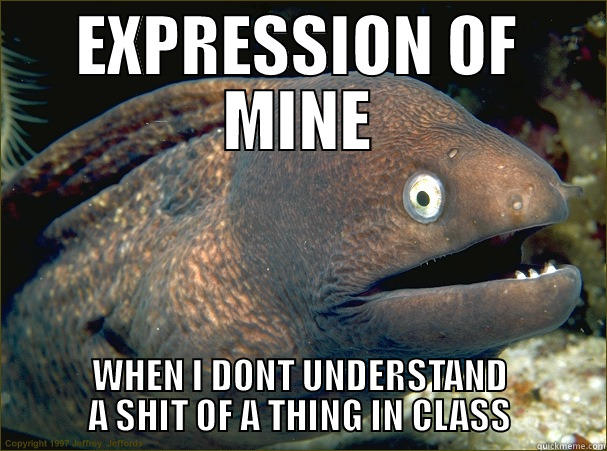 XPRESIONS AKWARD - EXPRESSION OF MINE WHEN I DONT UNDERSTAND A SHIT OF A THING IN CLASS Bad Joke Eel