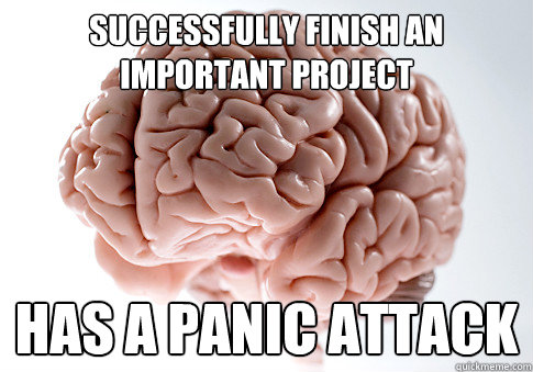 successfully FINISH an important project has a panic attack  Scumbag Brain