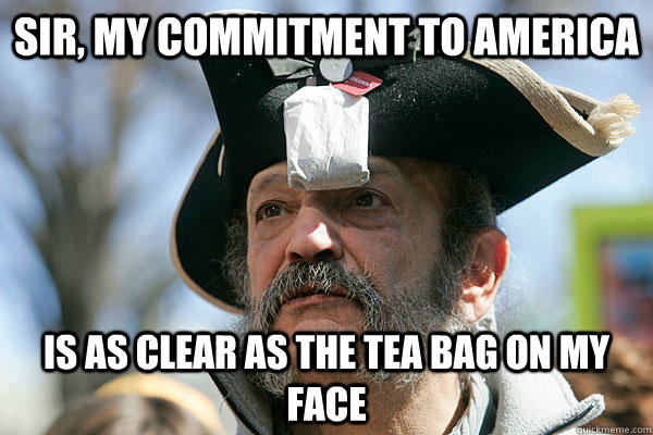 Sir, my commitment to America is as clear as the tea bag on my face   Tea Party Ted