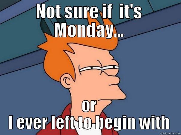 Not sure if Monday - NOT SURE IF  IT'S MONDAY... OR I EVER LEFT TO BEGIN WITH Futurama Fry