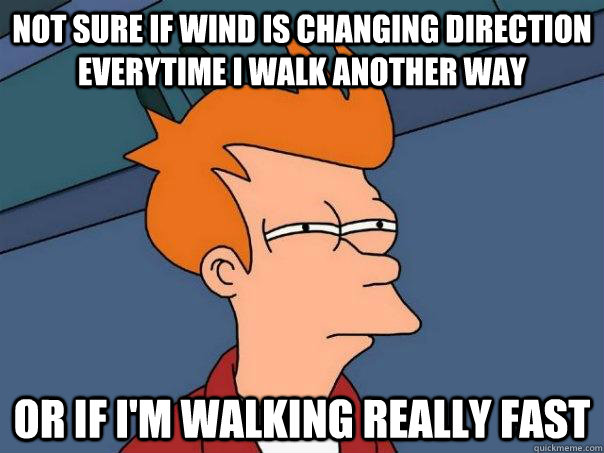 Not sure if wind is changing direction everytime I walk another way or if i'm walking really fast  Futurama Fry