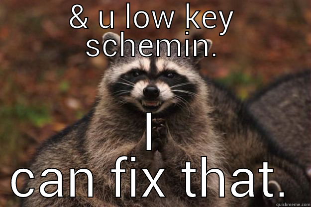 & U LOW KEY SCHEMIN. I CAN FIX THAT. Evil Plotting Raccoon