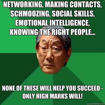 networking, making contacts, schmoozing, social skills, emotional intelligence, knowing the right people... none of these will help you succeed -
only high marks will!  High Expectations Asian Father