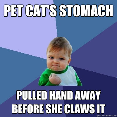 Pet cat's stomach pulled hand away before she claws it  Success Kid