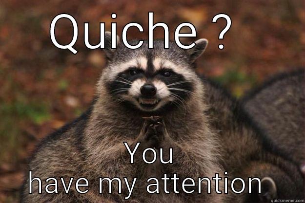 QUICHE ?  YOU HAVE MY ATTENTION  Evil Plotting Raccoon