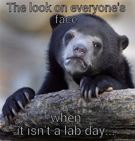 THE LOOK ON EVERYONE'S FACE WHEN IT ISN'T A LAB DAY... Confession Bear