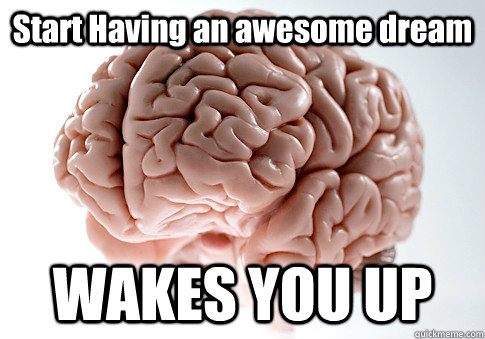 Start Having an awesome dream WAKES YOU UP  Scumbag Brain