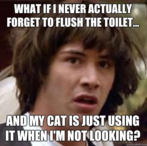 What If I never actually forget to flush the toilet... And my cat is just using it when I'm not looking?  conspiracy keanu