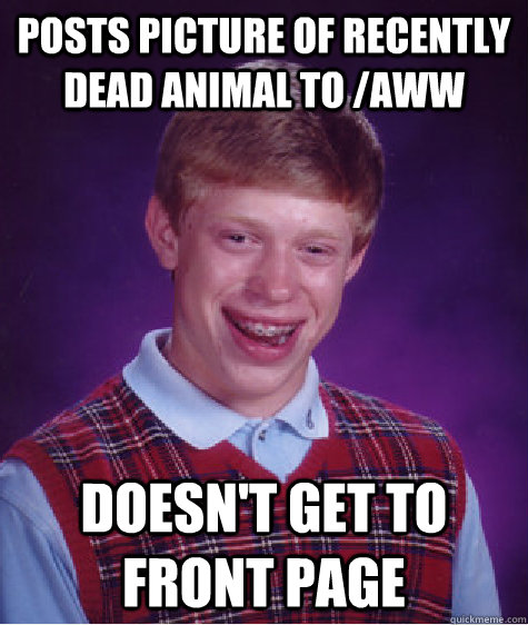 Posts picture of recently dead animal to /aww Doesn't get to front page - Posts picture of recently dead animal to /aww Doesn't get to front page  Bad Luck Brian