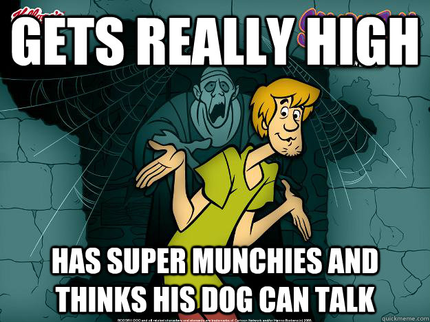 Gets really high Has super munchies and thinks his dog can talk - Gets really high Has super munchies and thinks his dog can talk  Irrational Shaggy