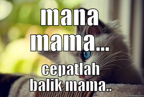 muka merajuk - MANA MAMA... CEPATLAH BALIK MAMA.. First World Problems Cat