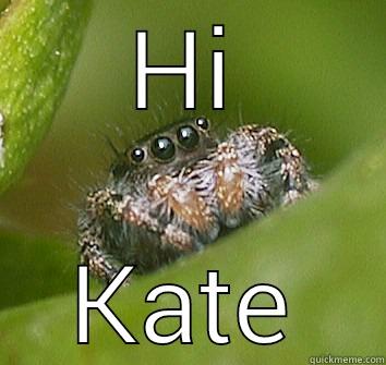 Kate's Friend - HI KATE Misunderstood Spider