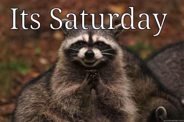 im in it - ITS SATURDAY  Evil Plotting Raccoon