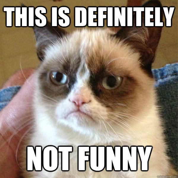 This is definitely not funny - This is definitely not funny  Reddits Angry Cat