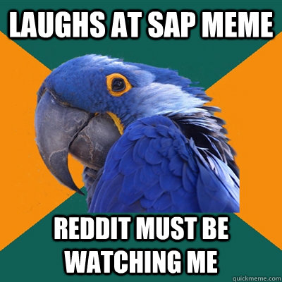 Laughs at SAP Meme Reddit must be watching me  Paranoid Parrot