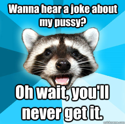 Wanna hear a joke about my pussy? Oh wait, you'll never get it.  Lame Pun Coon