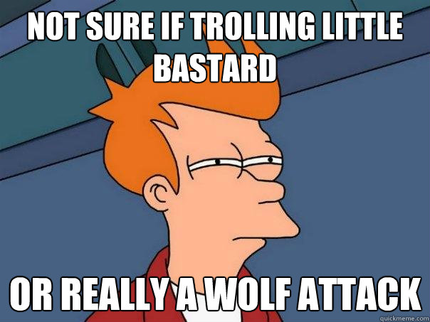 Not sure if trolling little bastard Or really a wolf attack - Not sure if trolling little bastard Or really a wolf attack  Futurama Fry