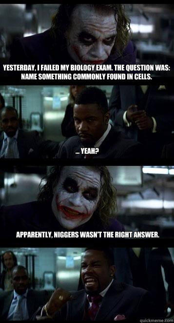 Yesterday, I failed my biology exam. The question was: Name something commonly found in cells.  ... yeah? Apparently, Niggers wasn't the right answer.  