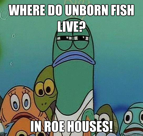 Where do unborn fish live? in roe houses! - Where do unborn fish live? in roe houses!  Serious fish SpongeBob