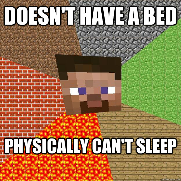 doesn't have a bed physically can't sleep  Minecraft