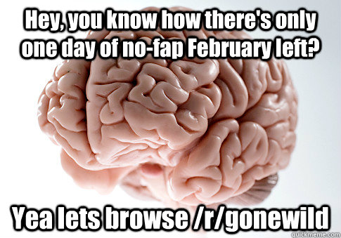 Hey, you know how there's only one day of no-fap February left? Yea lets browse /r/gonewild   Scumbag Brain