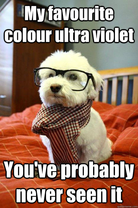 My favourite colour ultra violet You've probably never seen it  Hipster Dog