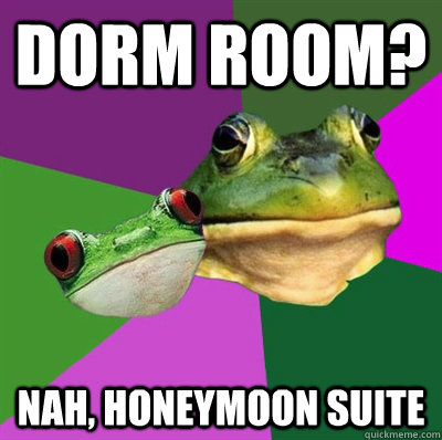 dorm room? nah, honeymoon suite  Foul Frog Couple