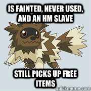 Is Fainted, never used, and an HM slave still picks up free items - Is Fainted, never used, and an HM slave still picks up free items  Good Guy Zigzagoon