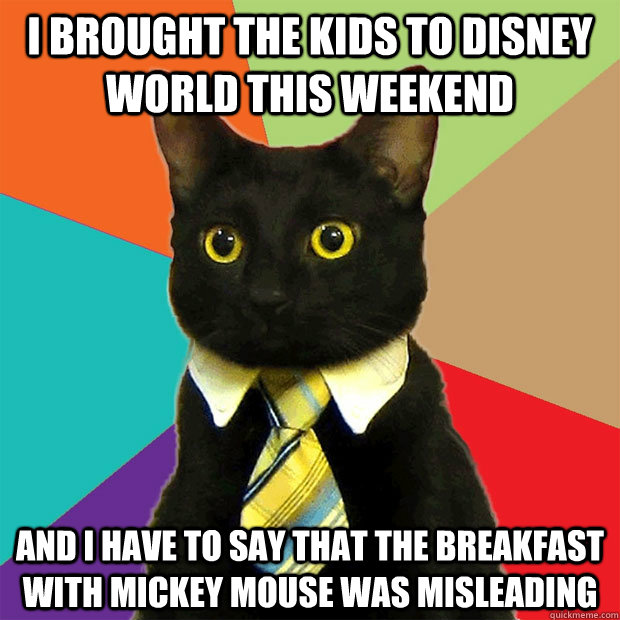 I brought the kids to disney world this weekend And i have to say that the breakfast with mickey mouse was misleading  Business Cat