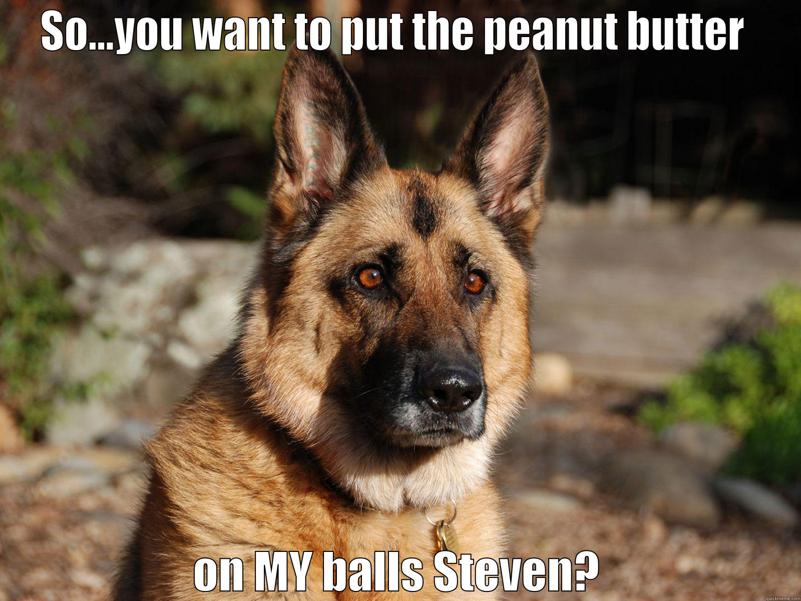 SO...YOU WANT TO PUT THE PEANUT BUTTER  ON MY BALLS STEVEN? Misc