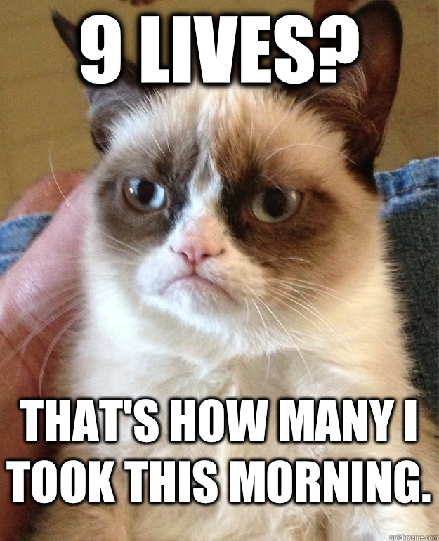 9 lives? That's how many I took this morning.   Grumpy Cat