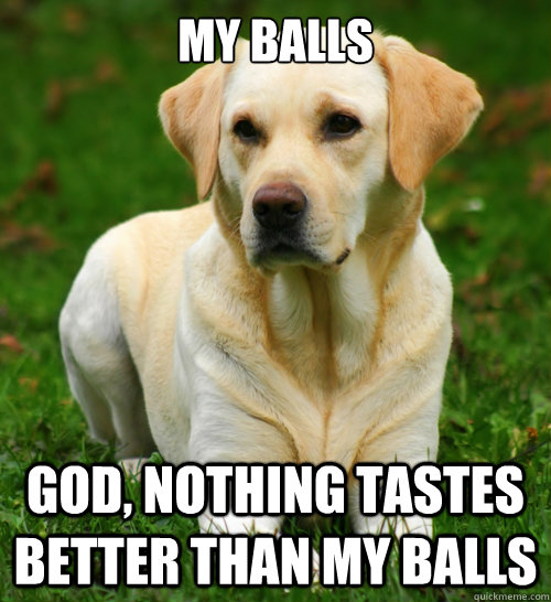 My balls god, nothing tastes better than my balls  Dog Logic