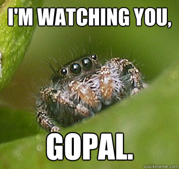 I'm watching you, gopal.  Misunderstood Spider