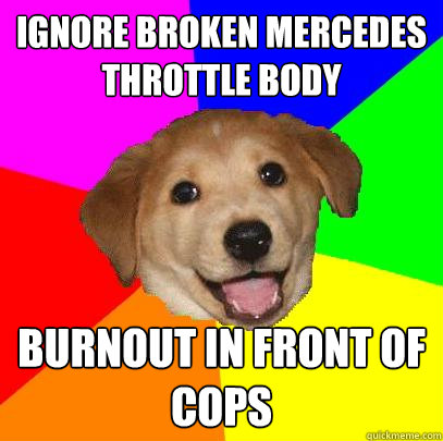 IGNORE BROKEN MERCEDES THROTTLE BODY BURNOUT IN FRONT OF COPS  Advice Dog