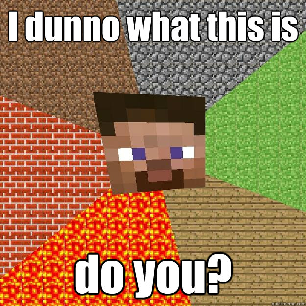 I dunno what this is do you?  Minecraft