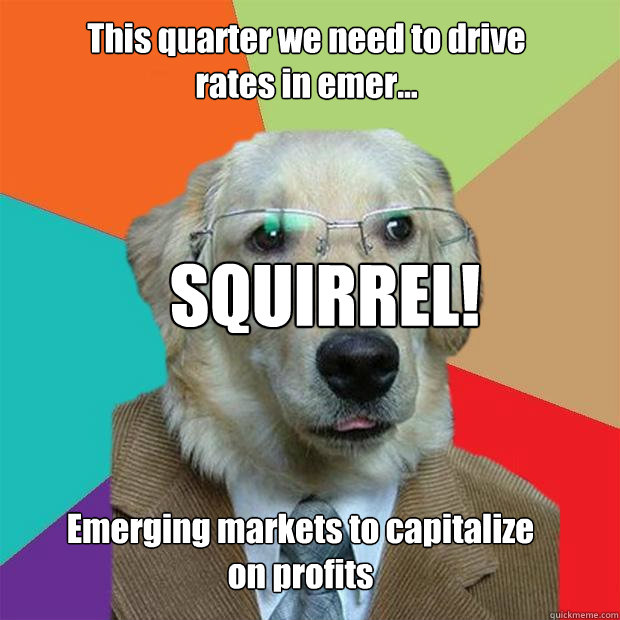 This quarter we need to drive rates in emer... Emerging markets to capitalize on profits SQUIRREL!  - This quarter we need to drive rates in emer... Emerging markets to capitalize on profits SQUIRREL!   Business Dog