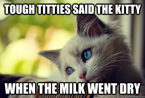 Tough titties said the kitty when the milk went dry  First World Problems Cat