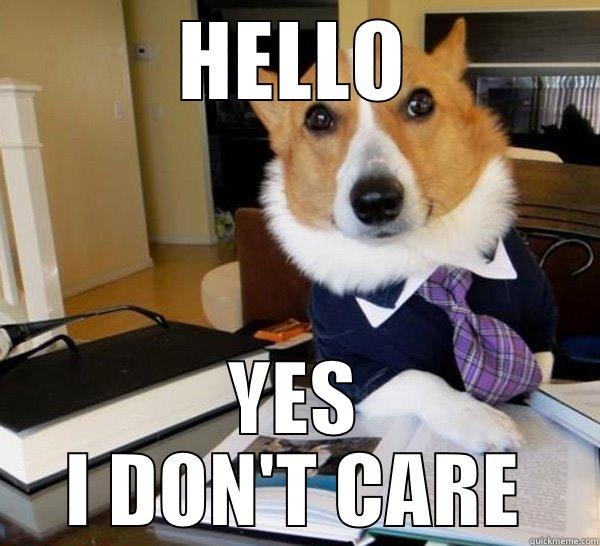 HELLO YES I DON'T CARE Lawyer Dog