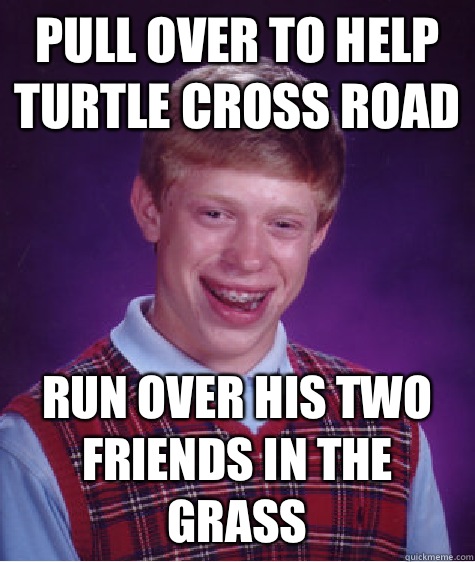 Pull over to help turtle cross road Run over his two friends in the grass  Bad Luck Brian