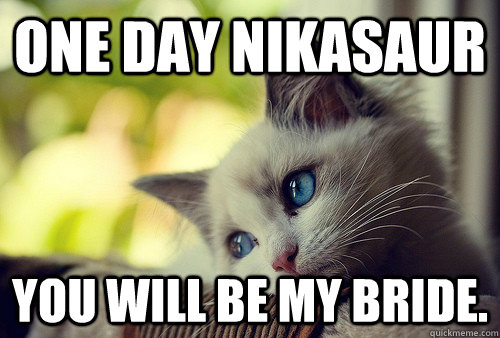 One day nikasaur You will be my bride.  First World Problems Cat